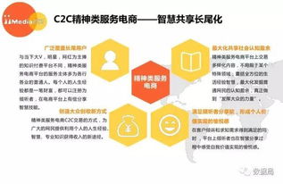 2017上半年中国精神类服务电商市场研究报告